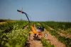 Benzines kapálógép, rotációs kapa, 144cm3 ; 3.4LE, Villager VTB 380 +ajándék 80.000Ft értékű****wellness utalvány!