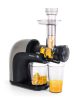 Horizontális Gyümölcsprés, G21 Chamberi, 150W, csigás préselés,