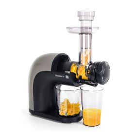   Horizontális Gyümölcsprés, G21 Chamberi, 150W, csigás préselés,