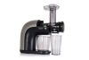 Horizontális Gyümölcsprés, G21 Chamberi, 150W, csigás préselés,