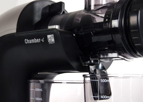 Horizontális Gyümölcsprés, G21 Chamberi, 150W, csigás préselés,