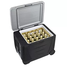 G21 C&W hűtőláda 45 liter, 12/230 V - kicsomagolt