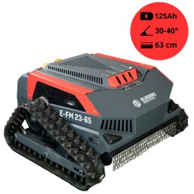   BLUEBIRD E-FM 23-65 AKKUMULÁTOROS RÁDIÓ VEZÉRELT MAGASGAZVÁGÓ (888940), BEÜZEMELVE SZÁLLÍTJUK!