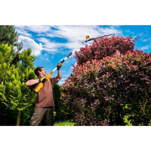 Riwall PRO RAPH 5240 Akkumulátoros magassági sővényvágó, 40V