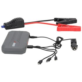   DEDRA DEPP1200 Autóindító Power Bank, 12000mAh (Motorindító/"bikázó" funkcióval rendelkező power bank)