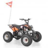 Benzinmotoros Quad